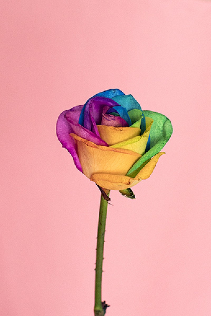 Nature and Circumstance 1