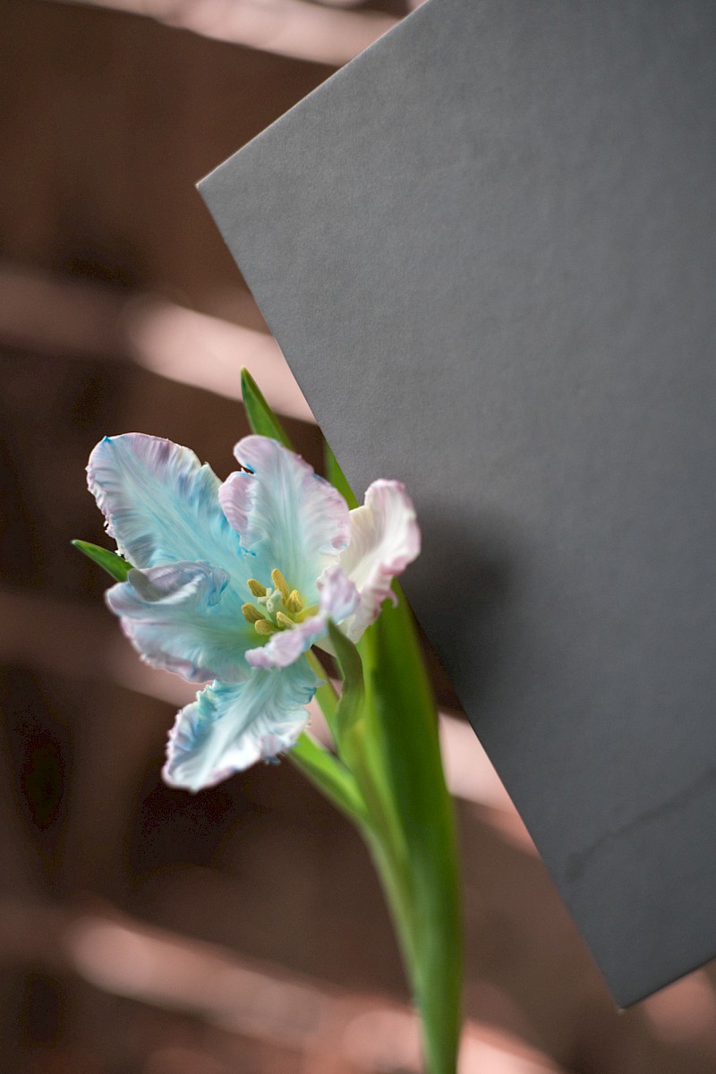 Nature and Circumstance 3