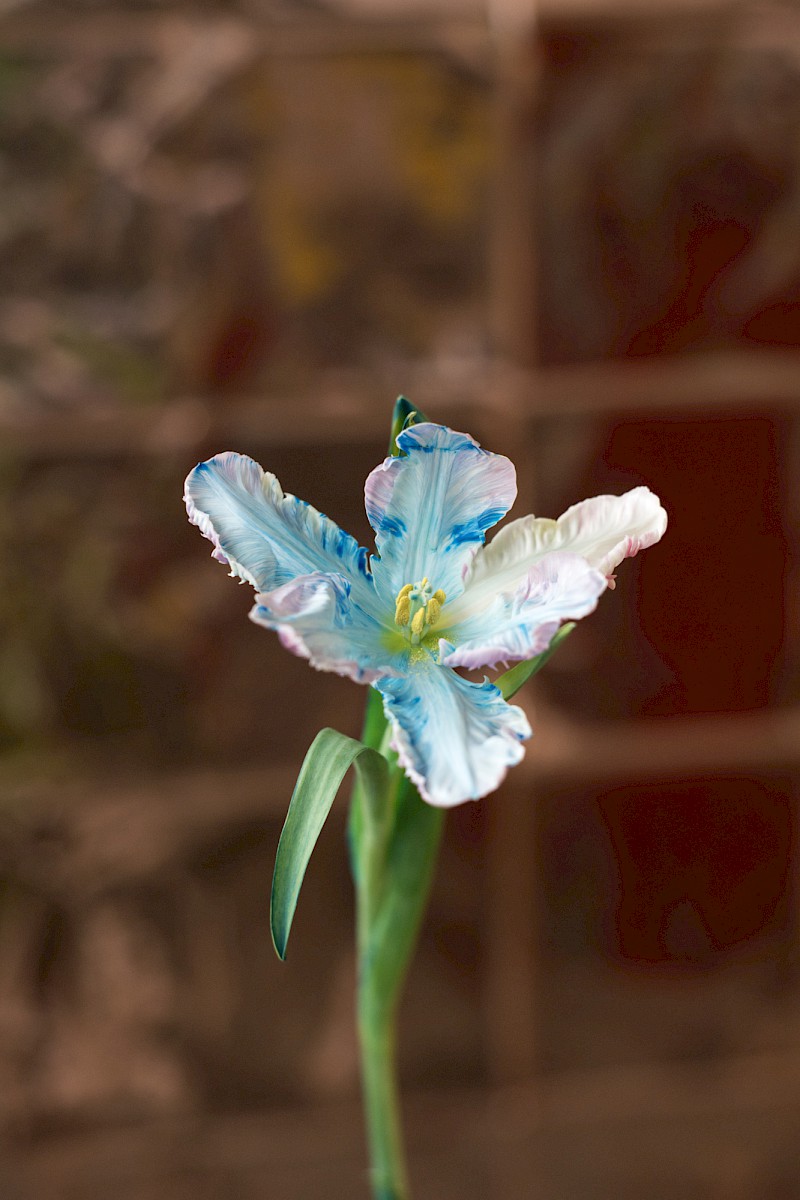 Nature and Circumstance 1